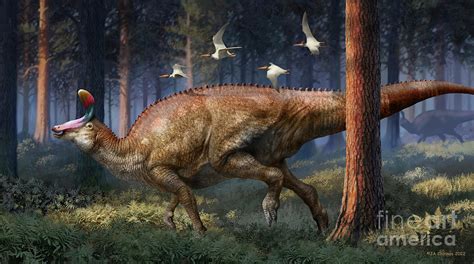 Tsintaosaurus .